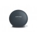 Колонка Harman Kardon Onyx Mini Grey