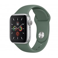 Apple Watch Series 5 (GPS) 40mm Silver Aluminum Case with Sport Band Pine Green