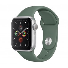Apple Watch Series 5 (GPS) 40mm Silver Aluminum Case with Sport Band Pine Green