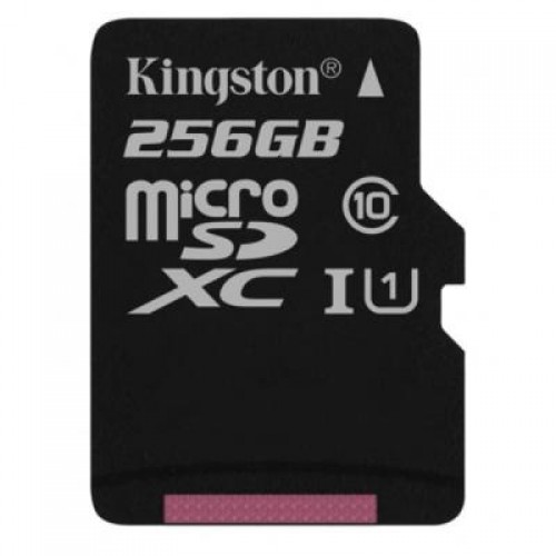 Карта памяти Kingston 256GB microSDXC class 10 UHS-I Canvas Select (SDCS/256GB)