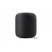Колонка Apple HomePod Space Gray (MQHW2)