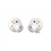 Наушники Samsung Galaxy Buds (White) SM-R170NZWASER