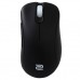 Мышь Zowie EC1-A, Black (4712702160475)