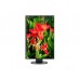 Монитор NEC EA241WU Black (60004676)