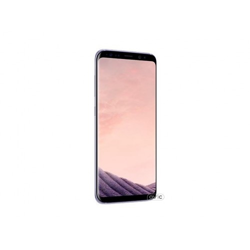 Смартфон Samsung Galaxy S8+ 64GB Gray (SM-G955FZVD)