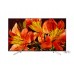 Телевизор Sony KD-85XF8596BR2