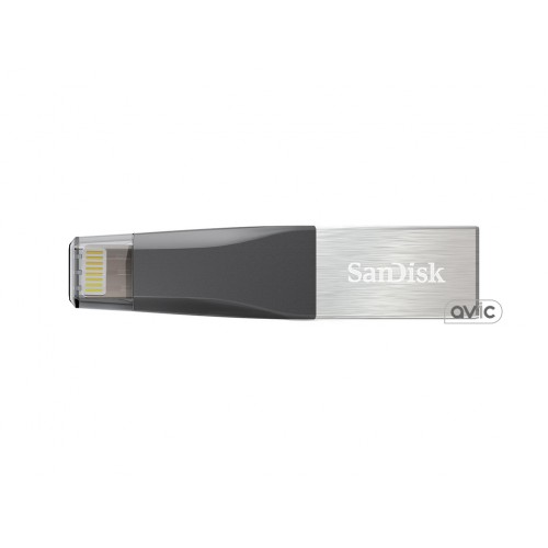 Флешка SanDisk 32 GB iXpand Mini (SDIX40N-032G-GN6NN)