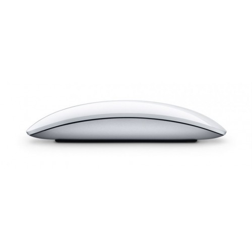 Apple Magic Mouse Wireless (MB829)
