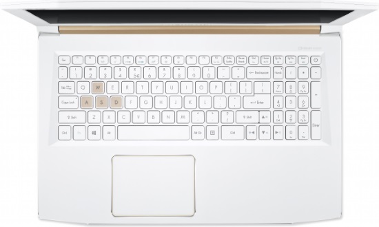 Acer Predator Helios 300 PH315-51 (NH.Q4HEU.004)