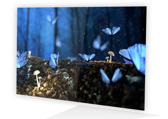 AOC Q3279VWFD8