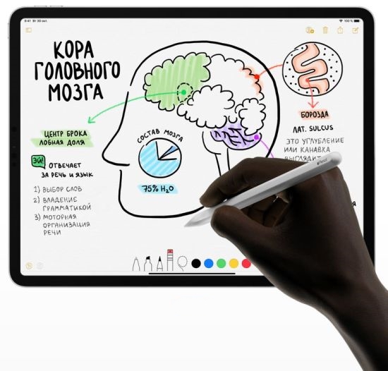 Apple Pencil (2nd Generation)