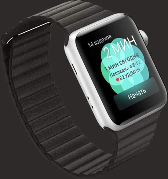 Смарт-часы Apple Watch Series 3 + LTE 38mm Space Black Steel Case w. Black Milanese L. (MR1Н2)