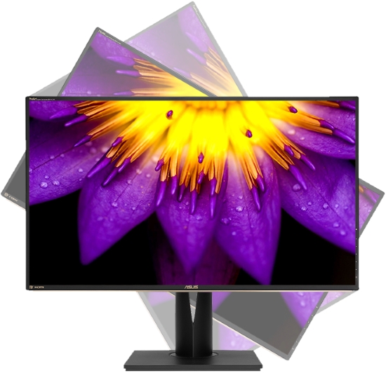 ASUS PA329Q