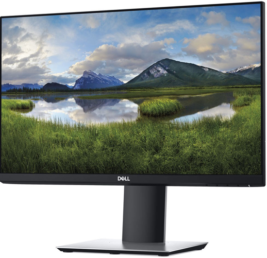 Dell P2319H (210-APWT)
