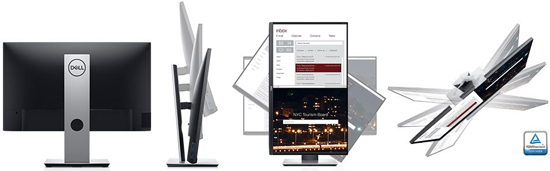 Dell P2319H (210-APWT)
