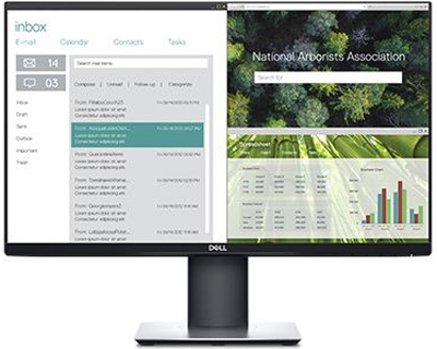 Dell P2319H (210-APWT)