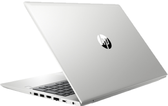 HP ProBook 450 G6 Silver (6HL94EA)