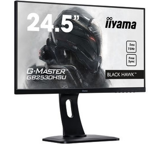 Iiyama G-Master Black Hawk GB2530HSU-B1