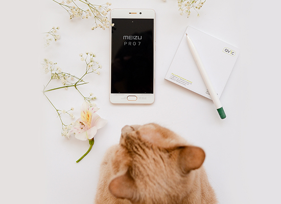 Meizu Pro 7 Gold