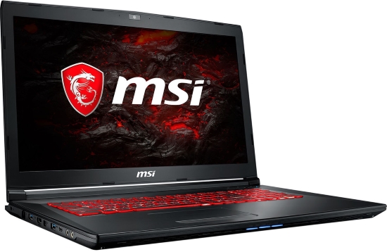 MSI GL72M 7RDX (GL72M7RDX-800US)