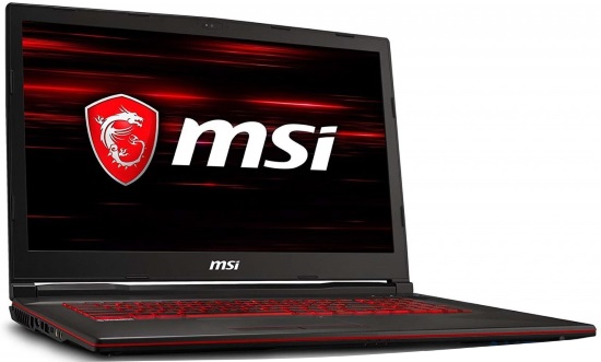 MSI GL73 8RC (GL738RC-032US)