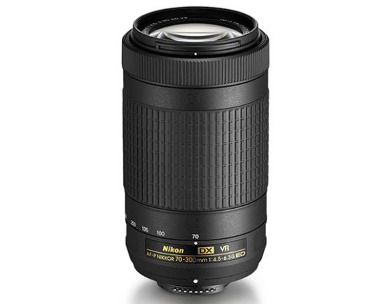 Nikon AF-P DX 70-300mm f/4.5-6.3G ED VR