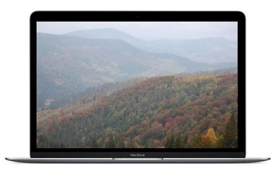 Ноутбук Apple MacBook 12 Space Gray (Z0TY0000K)