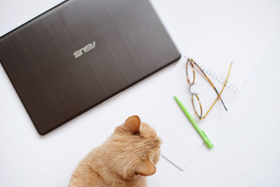Ноутбук ASUS VivoBook S15 S530UN (S530UN-BH73)