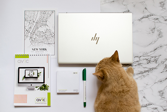 HP Envy 13