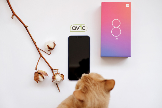 Смартфон Xiaomi Mi 8 Lite 6/128GB Blue
