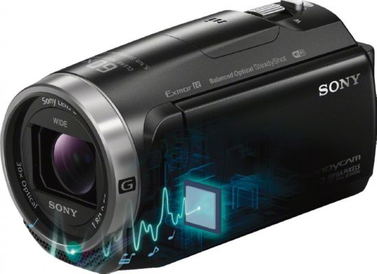 Видеокамера HDV Flash Sony Handycam HDR-CX625 Black