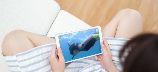 Xiaomi Mi Pad 4 Plus